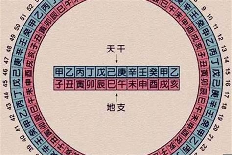 今年五行属什么|今年是什么年天干地支 今年是什么年庚